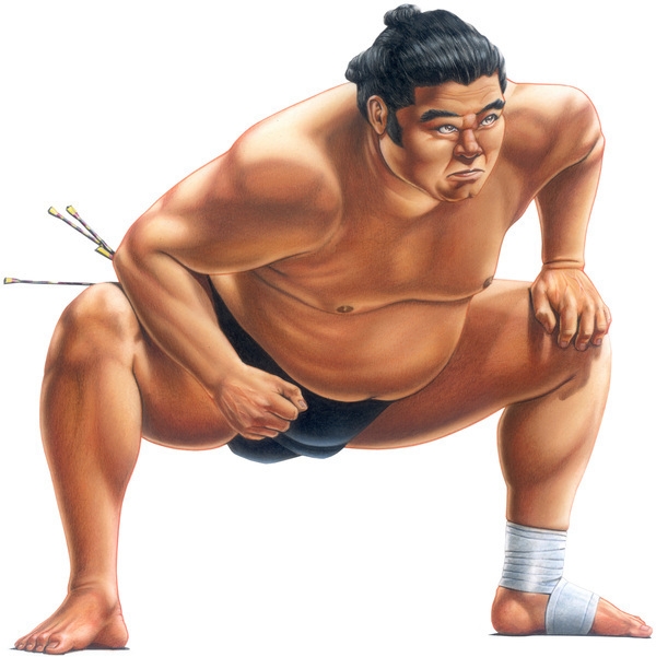 Mi is az a szum&oacute; (sumo)?